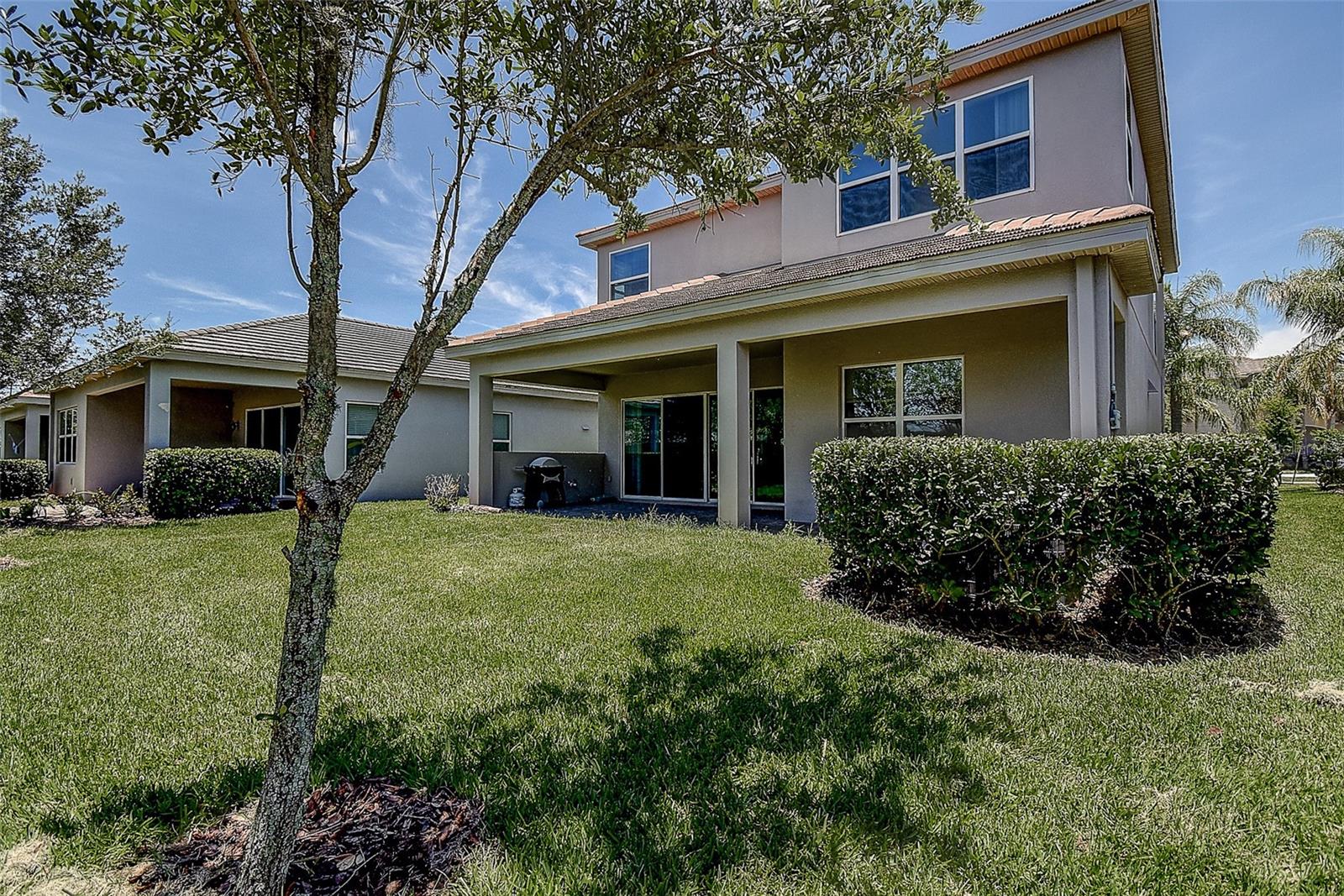 30932 Lindentree, Wesley Chapel, FL 33543