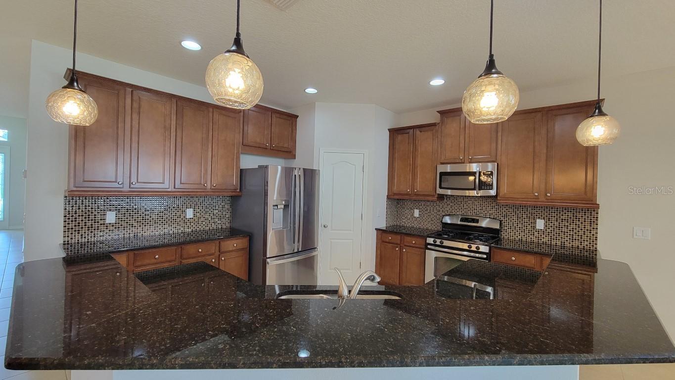 2229 Valterra Vista, Valrico, FL 33594