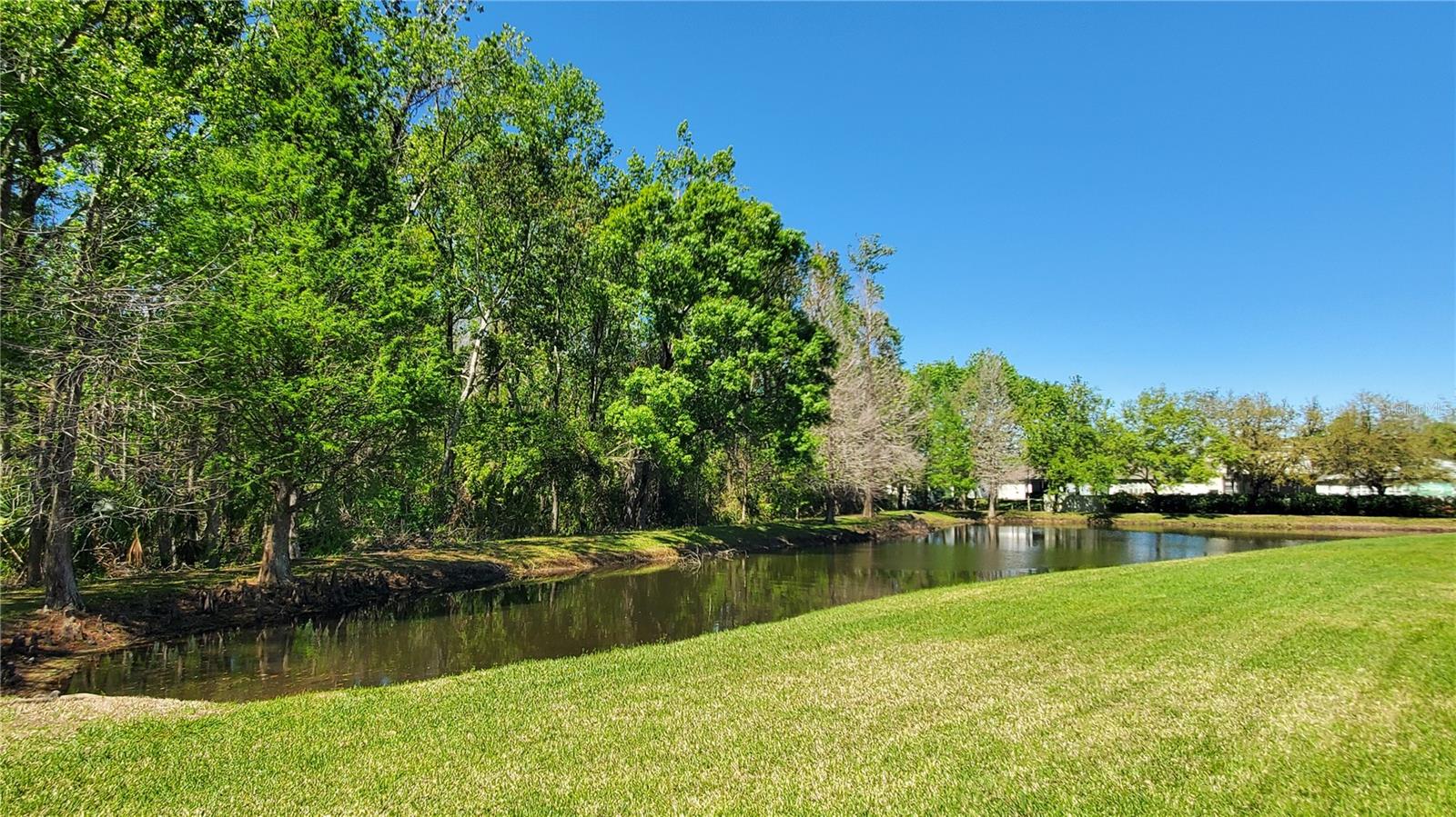 4535 Winding River, Land O Lakes, FL 34639