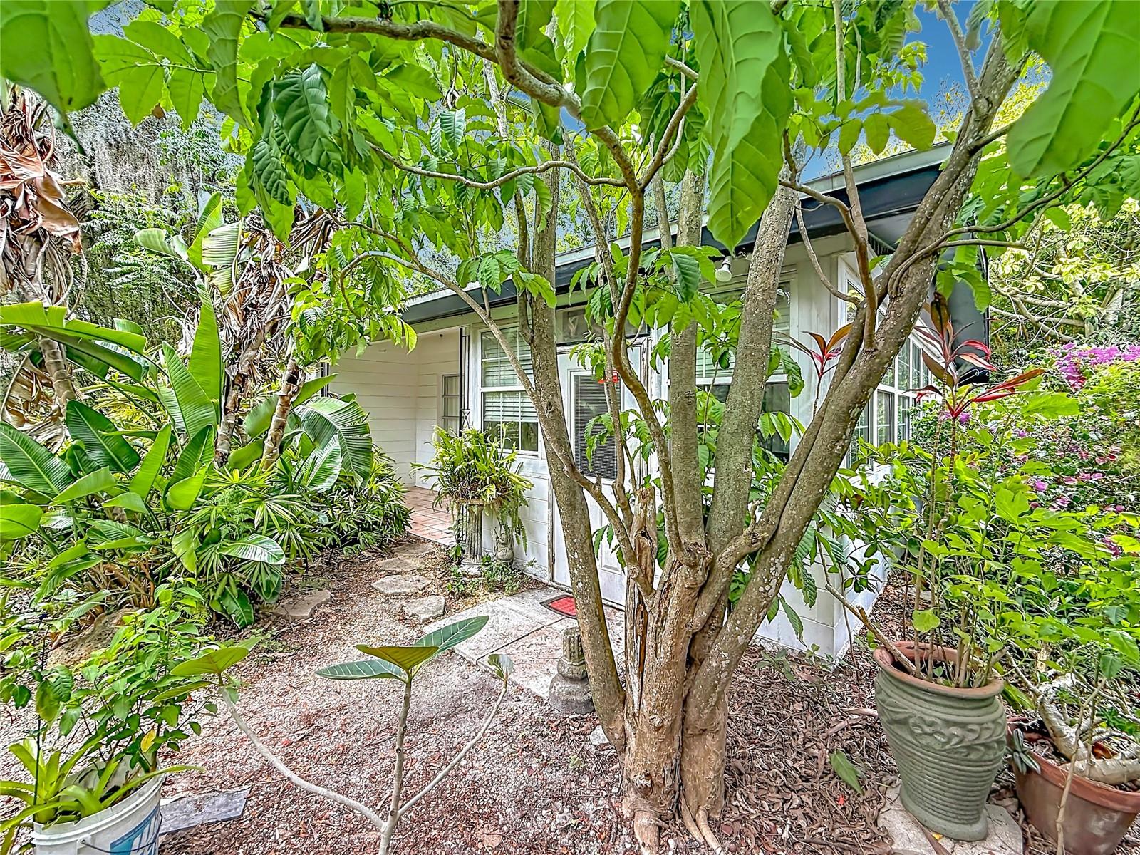 6330 Emerson, St Petersburg, FL 33707