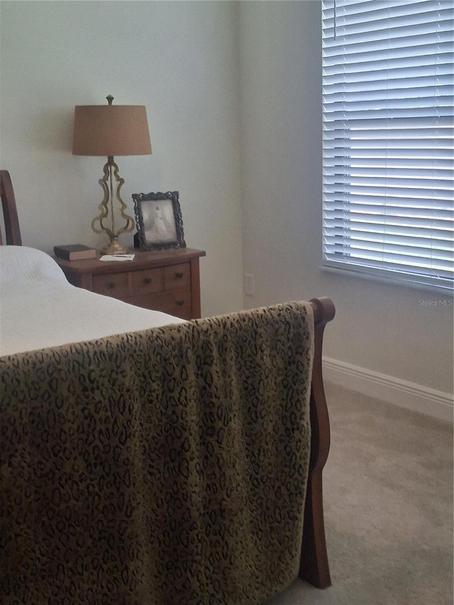 12618 Vander Way, New Port Richey, FL 34654