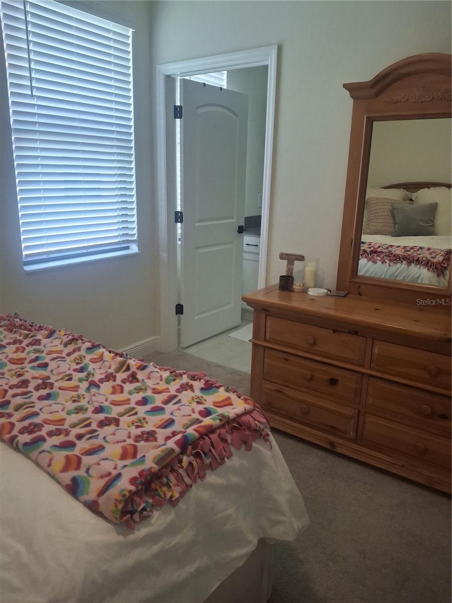 12618 Vander Way, New Port Richey, FL 34654