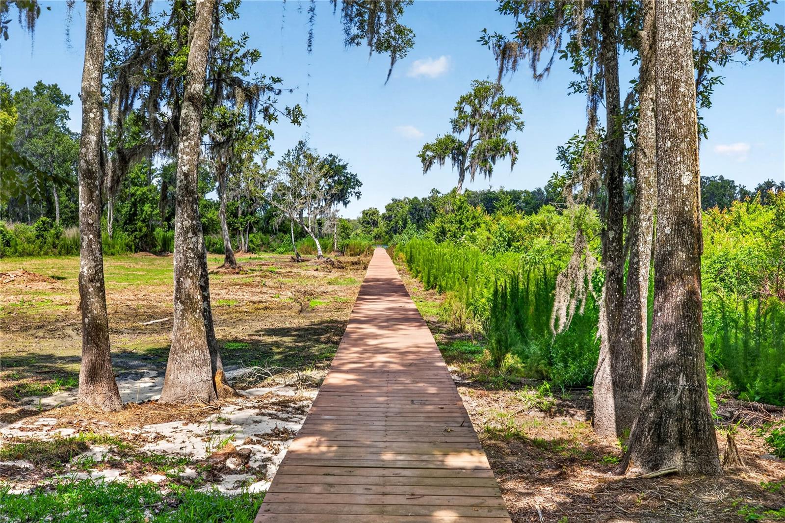 17265 Meadow Bluff, Dade City, FL 33523