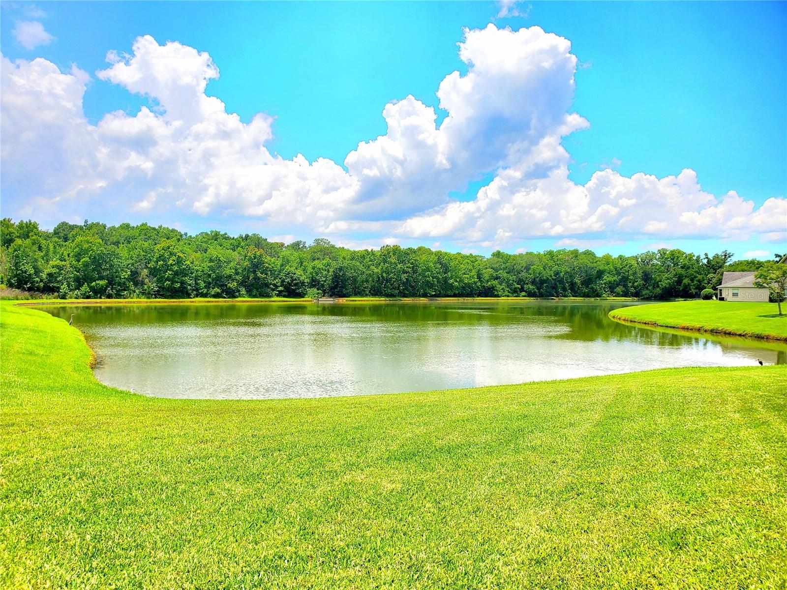 25644 Frith, Land O Lakes, FL 34639