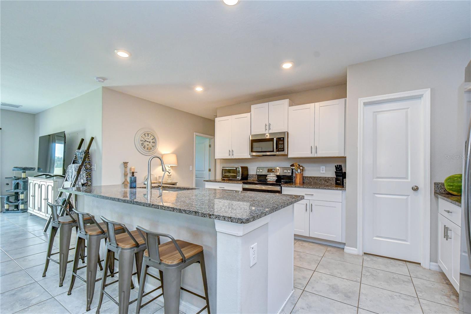 17917 Cloudless Bliss, Lutz, FL 33558