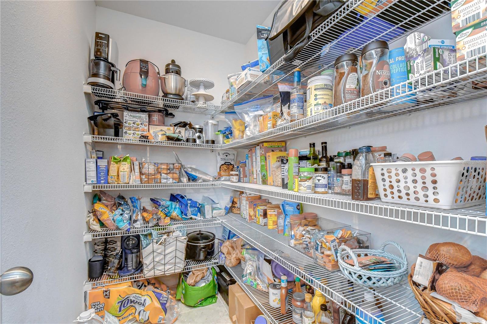 17917 Cloudless Bliss, Lutz, FL 33558