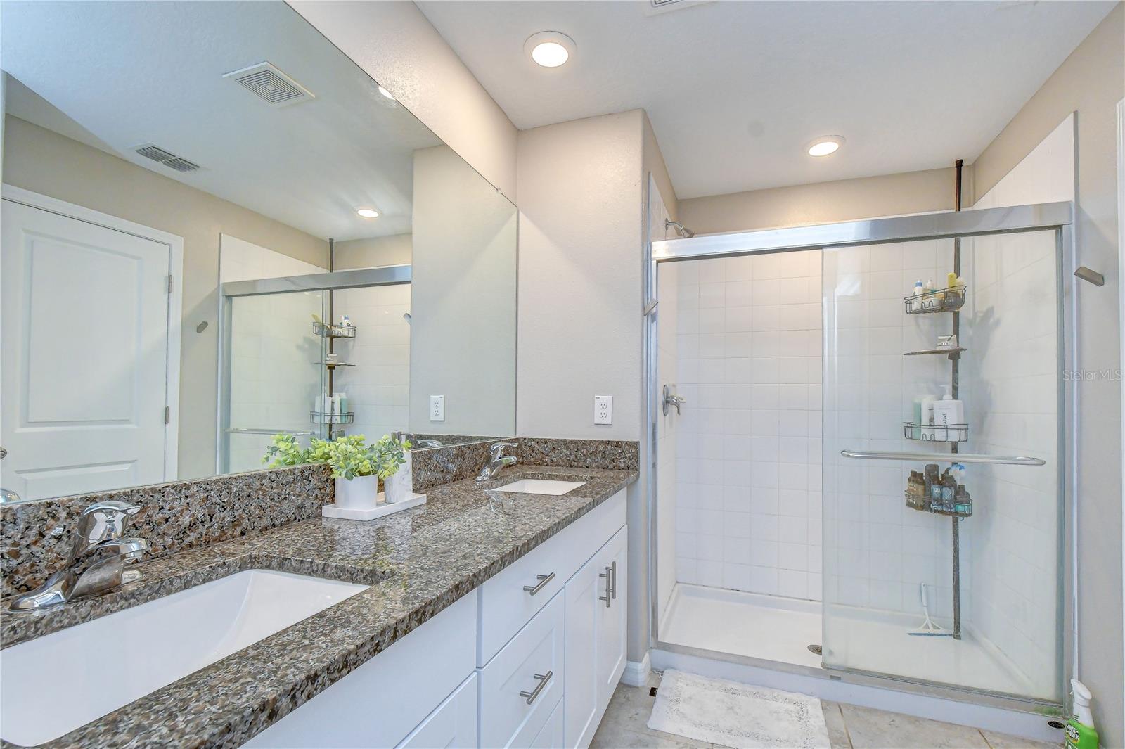 17917 Cloudless Bliss, Lutz, FL 33558