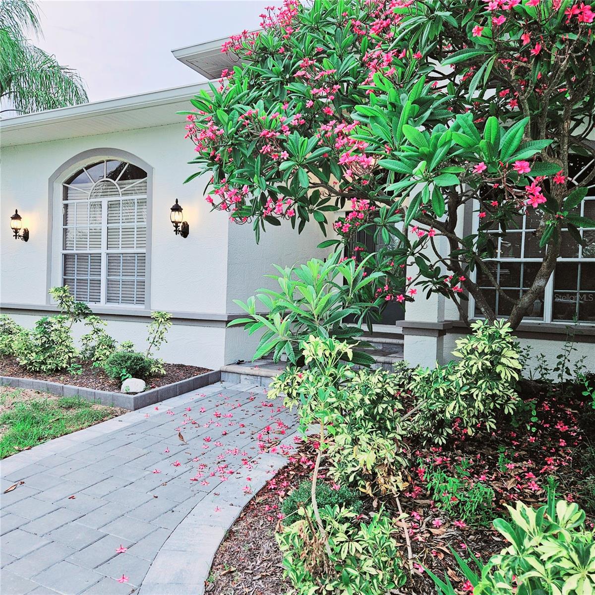 1415 Beach Club, Apollo Beach, FL 33572