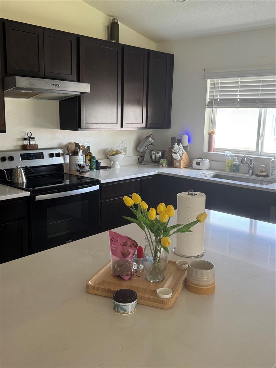 1459 Geranium, Mascotte, FL 34753
