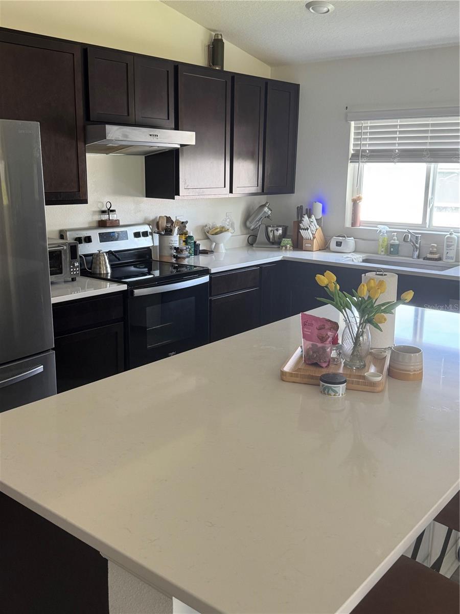 1459 Geranium, Mascotte, FL 34753