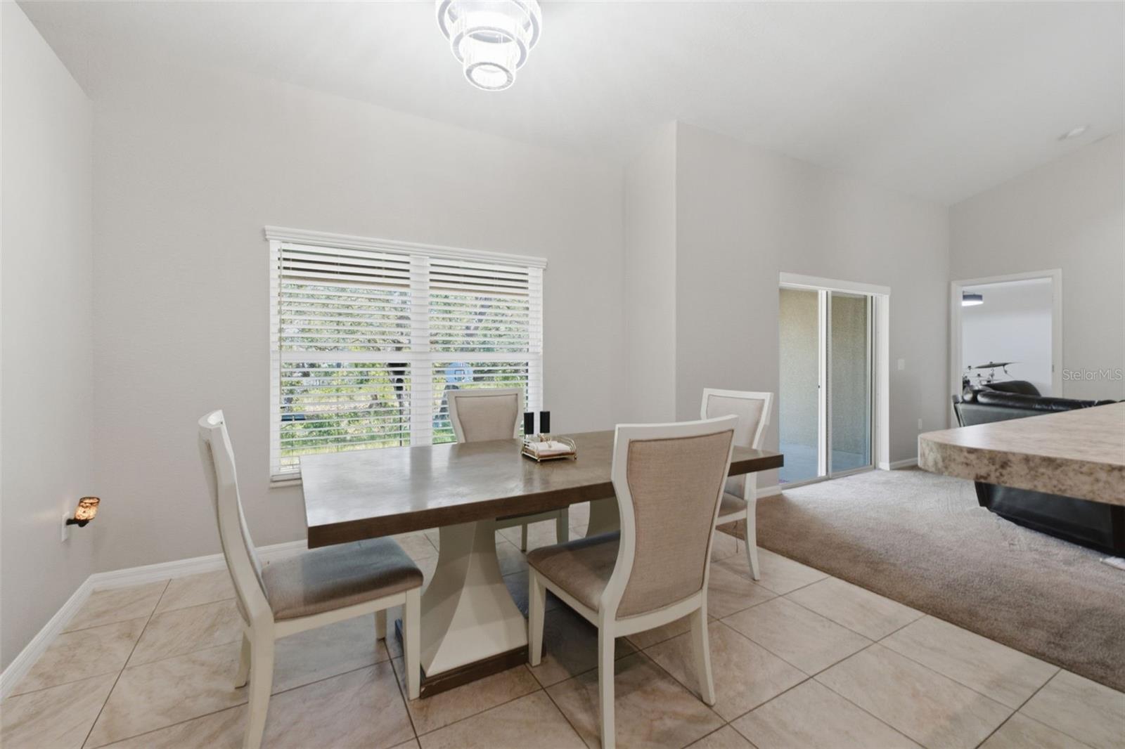 12155 Peregrine Falcon, Weeki Wachee, FL 34614
