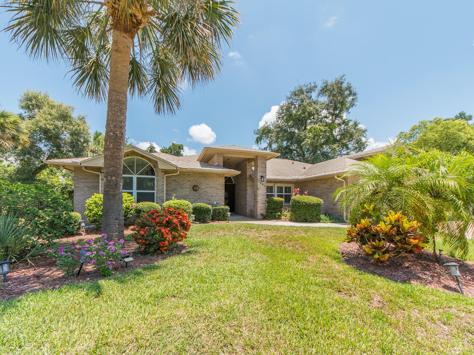2899 Turtle, Palm Harbor, FL 34683