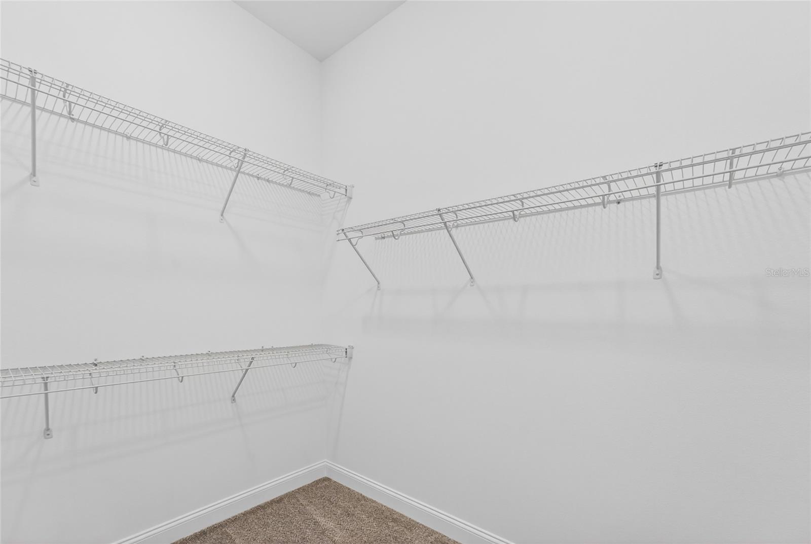 15174 Field Daisy, Winter Garden, FL 34787
