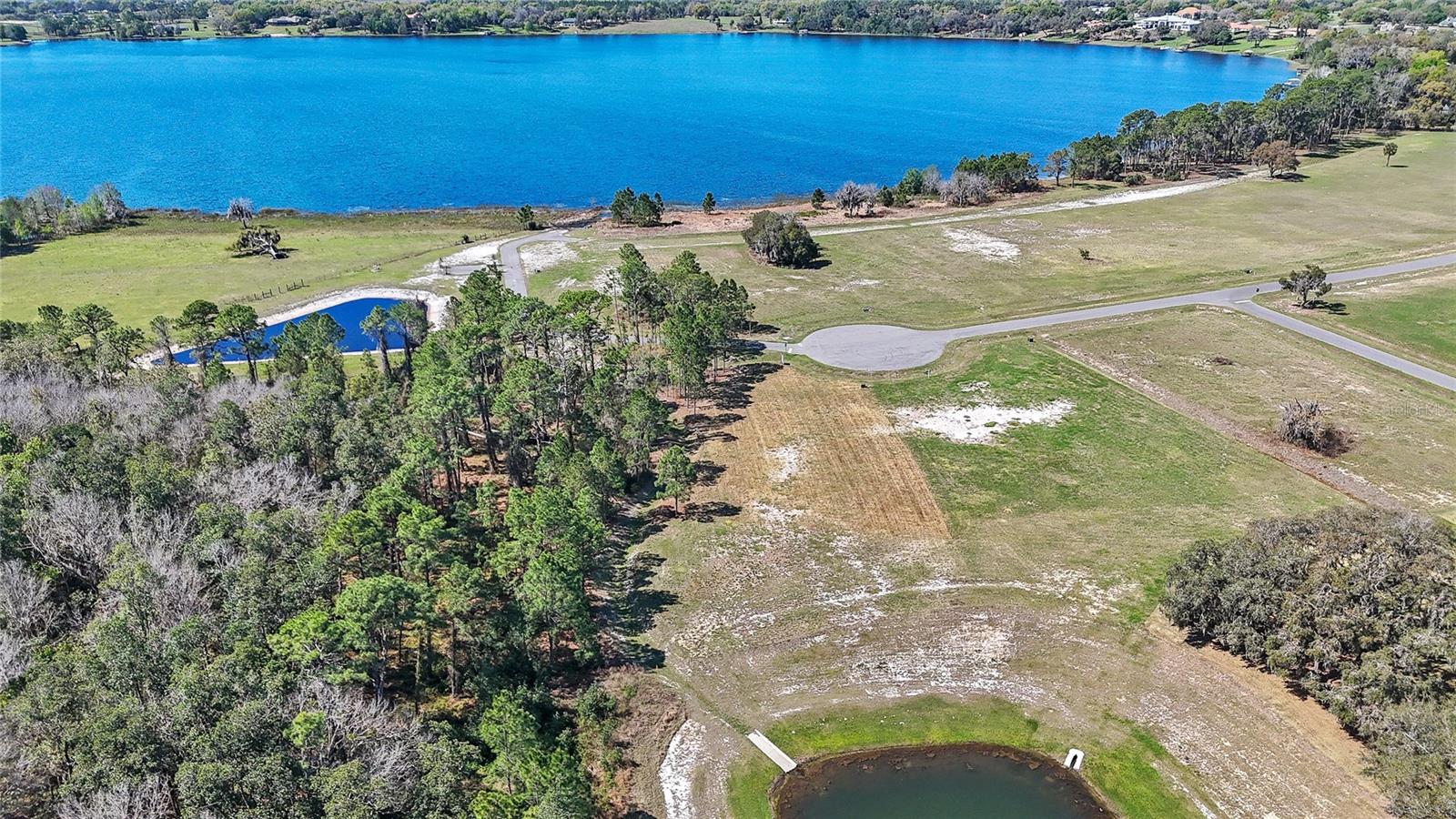 20280 Shoreline Ranch, Umatilla, FL 32784