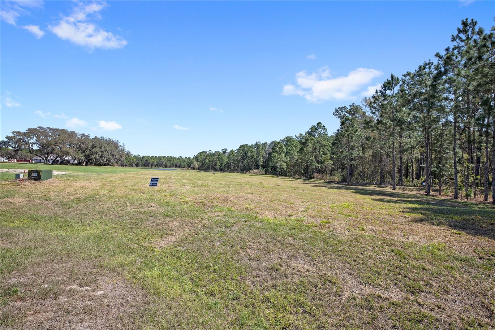 20280 Shoreline Ranch, Umatilla, FL 32784