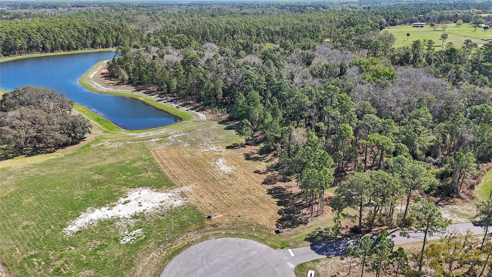 20280 Shoreline Ranch, Umatilla, FL 32784
