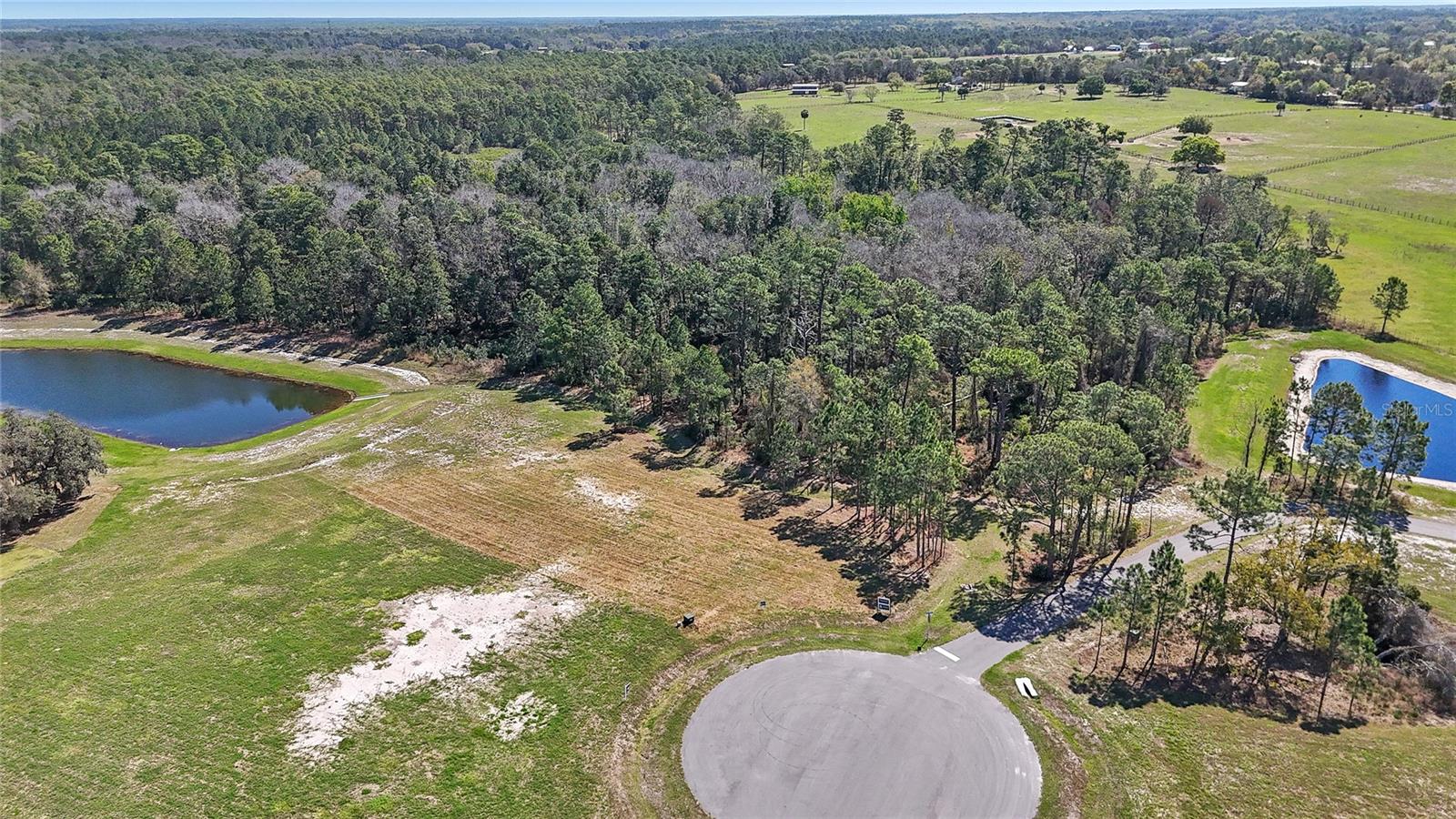 20280 Shoreline Ranch, Umatilla, FL 32784