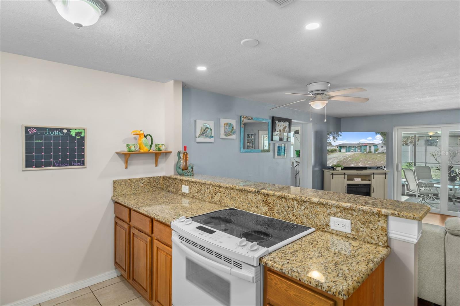 7906 Woodvine, Tampa, FL 33615