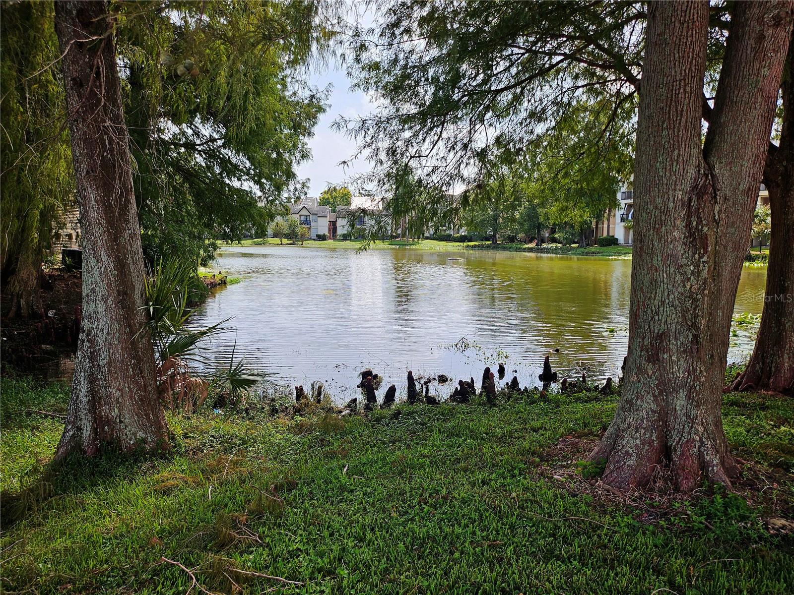 1916 Lake Atriums Unit 25, Orlando, FL 32839