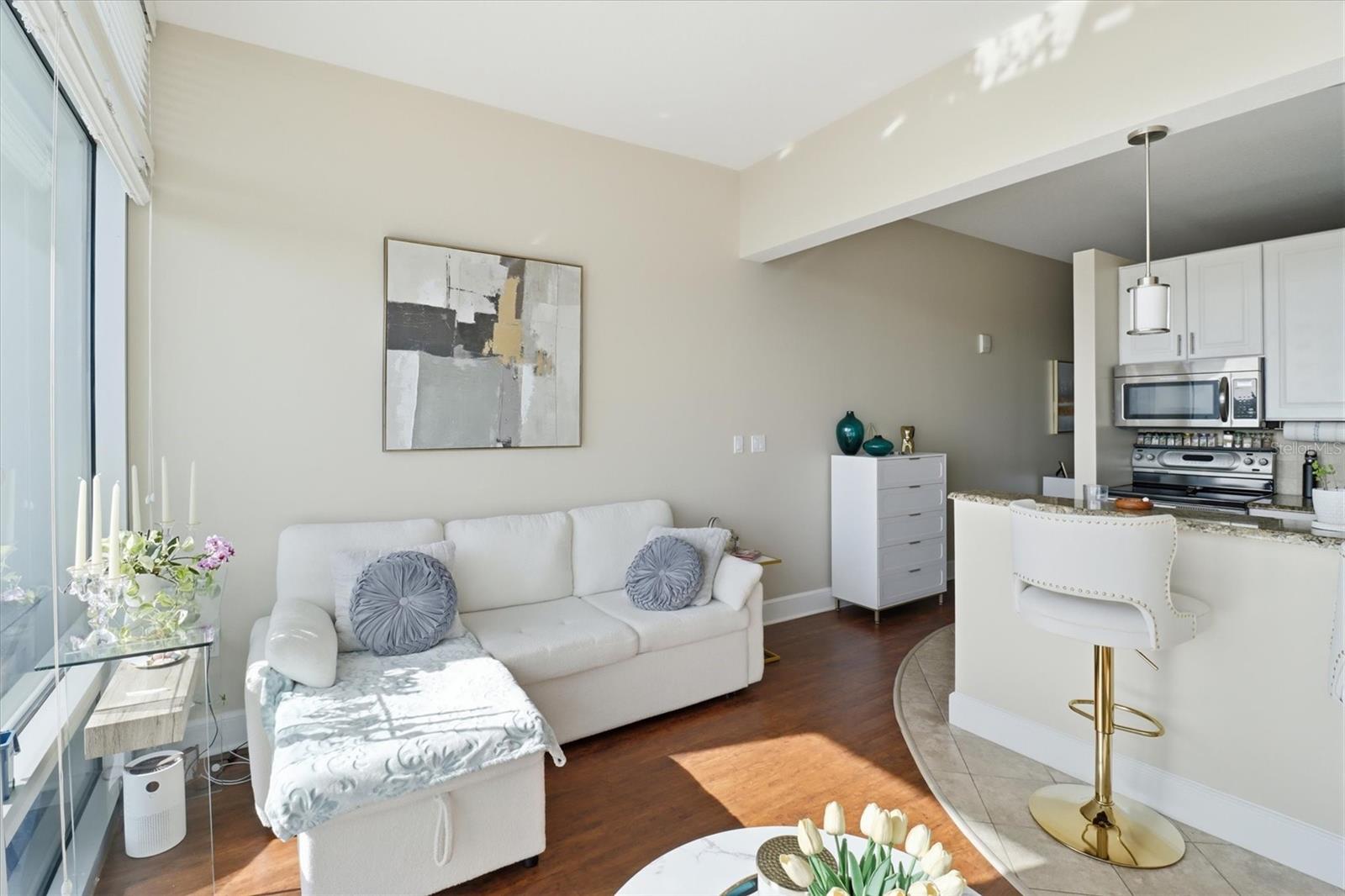 101 Eola Unit 1104, Orlando, FL 32801