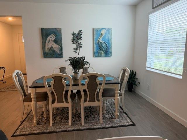 9760 Minnow Ray, Land O Lakes, FL 34638