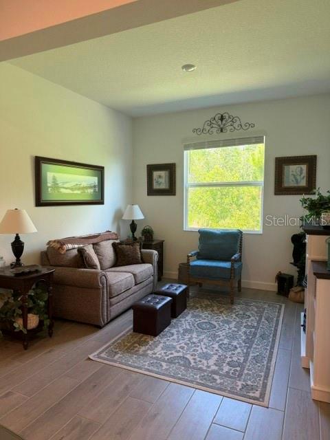 9760 Minnow Ray, Land O Lakes, FL 34638