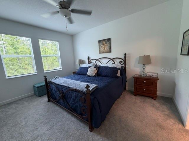 9760 Minnow Ray, Land O Lakes, FL 34638