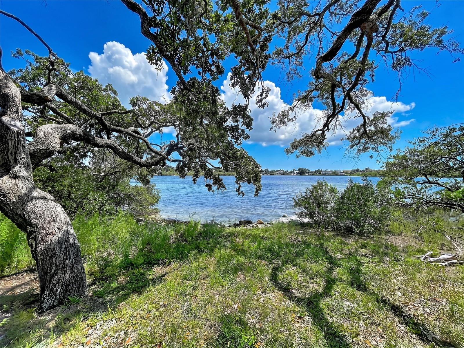 1275 Mickler, Tarpon Springs, FL 34689