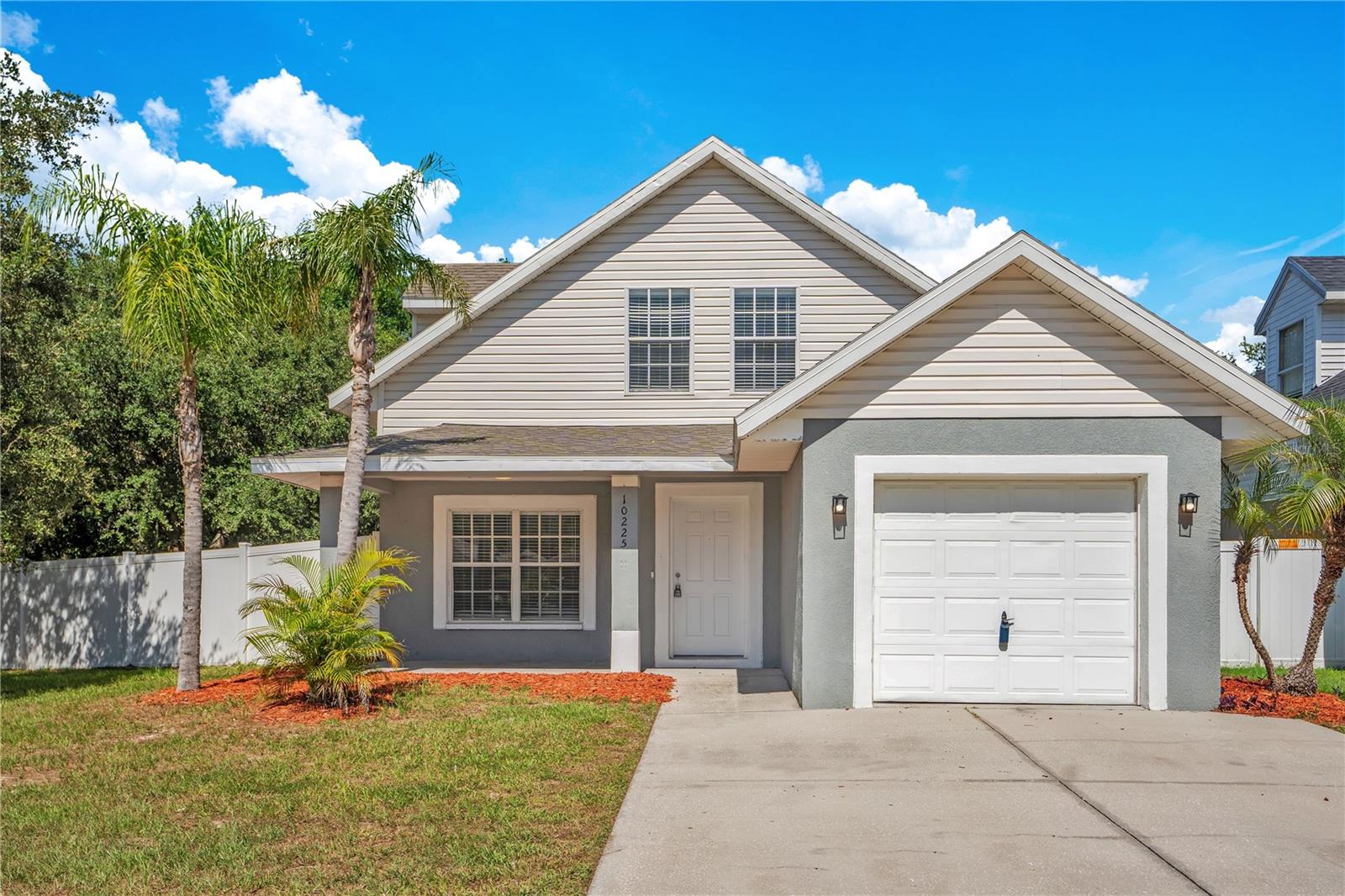10225 Summerview, Riverview, FL 33578