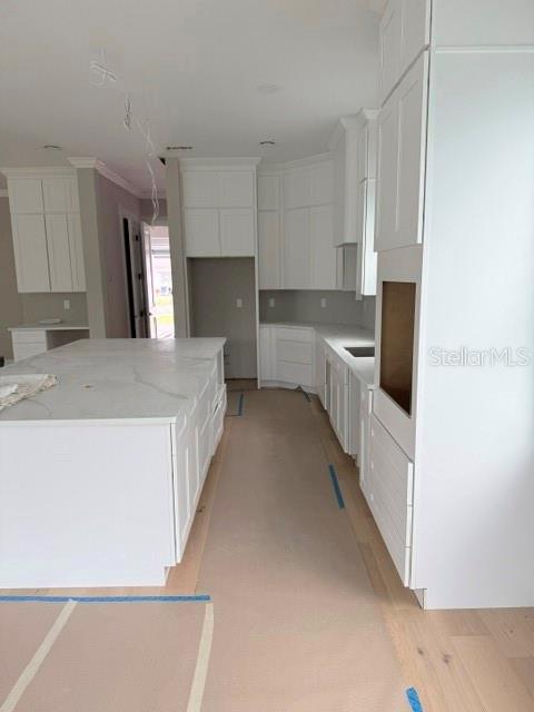 6705 Himes, Tampa, FL 33611