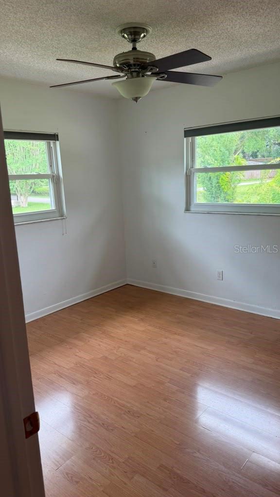 6412 Woodlynne, Tampa, FL 33614