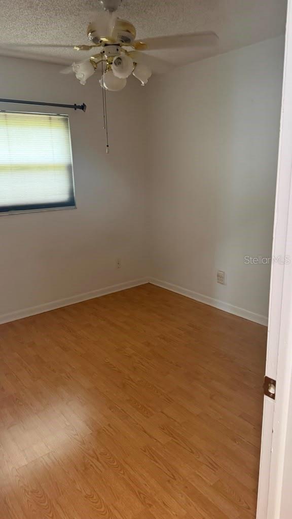 6412 Woodlynne, Tampa, FL 33614
