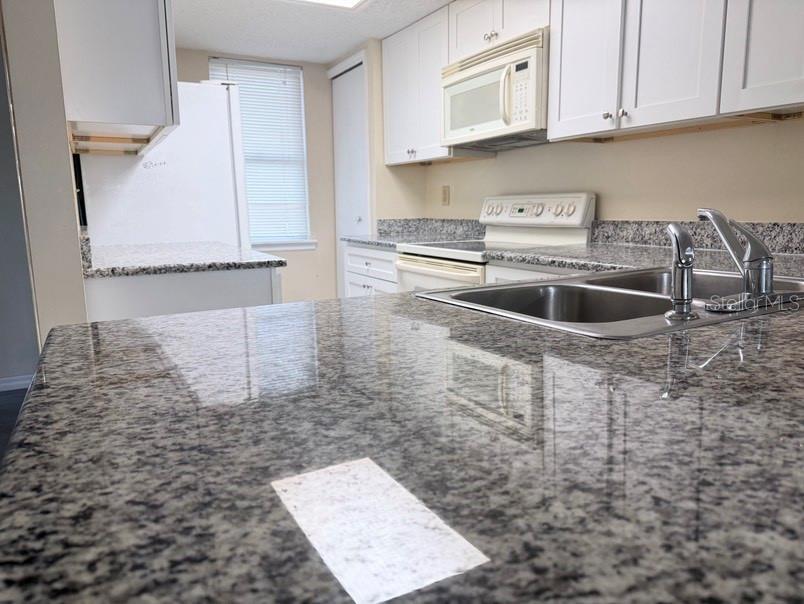 7514 Colonial, Tampa, FL 33615