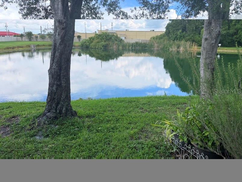 7514 Colonial, Tampa, FL 33615