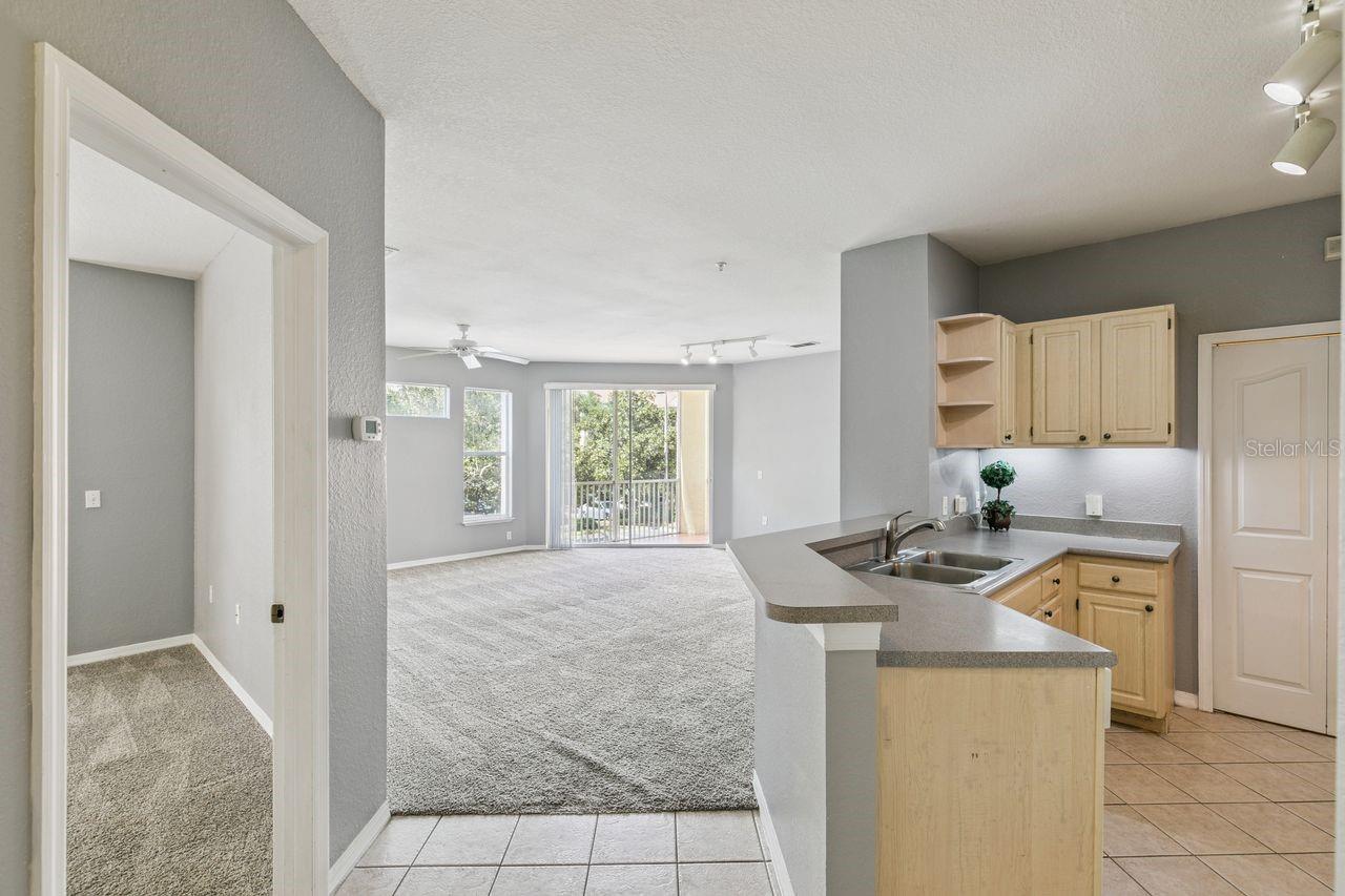 1440 Lake Shadow Unit 8201, Maitland, FL 32751