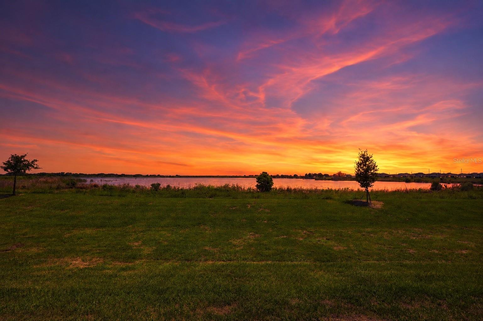 984 Griffon, Lake Alfred, FL 33850