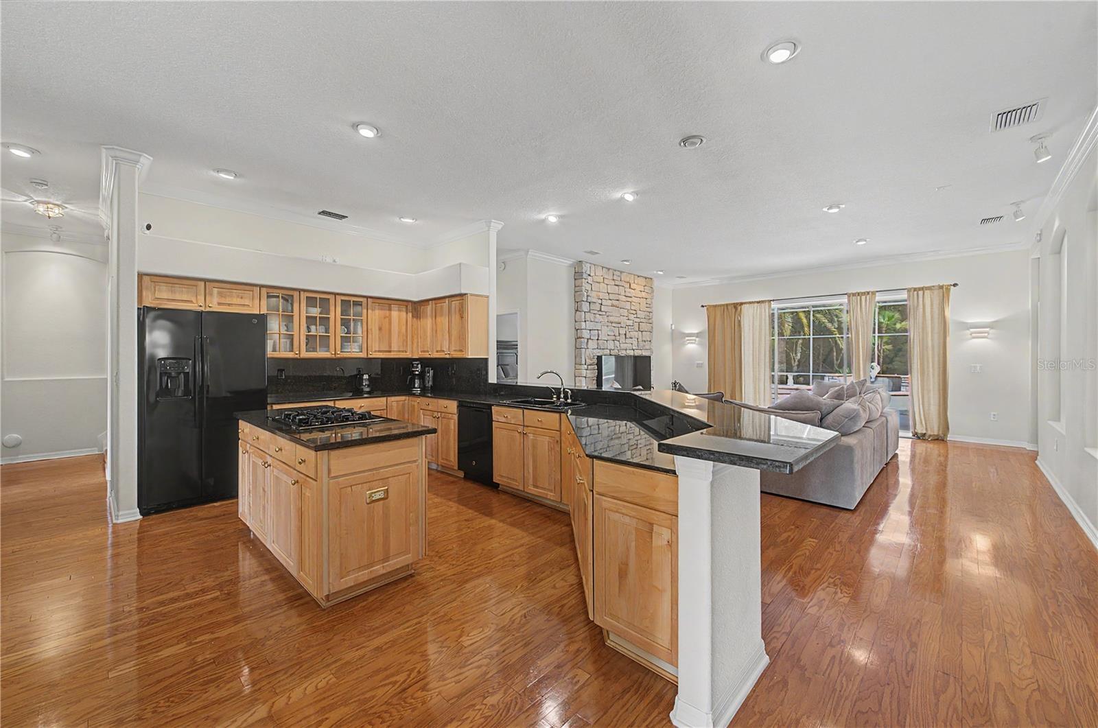18615 Chemille, Lutz, FL 33558