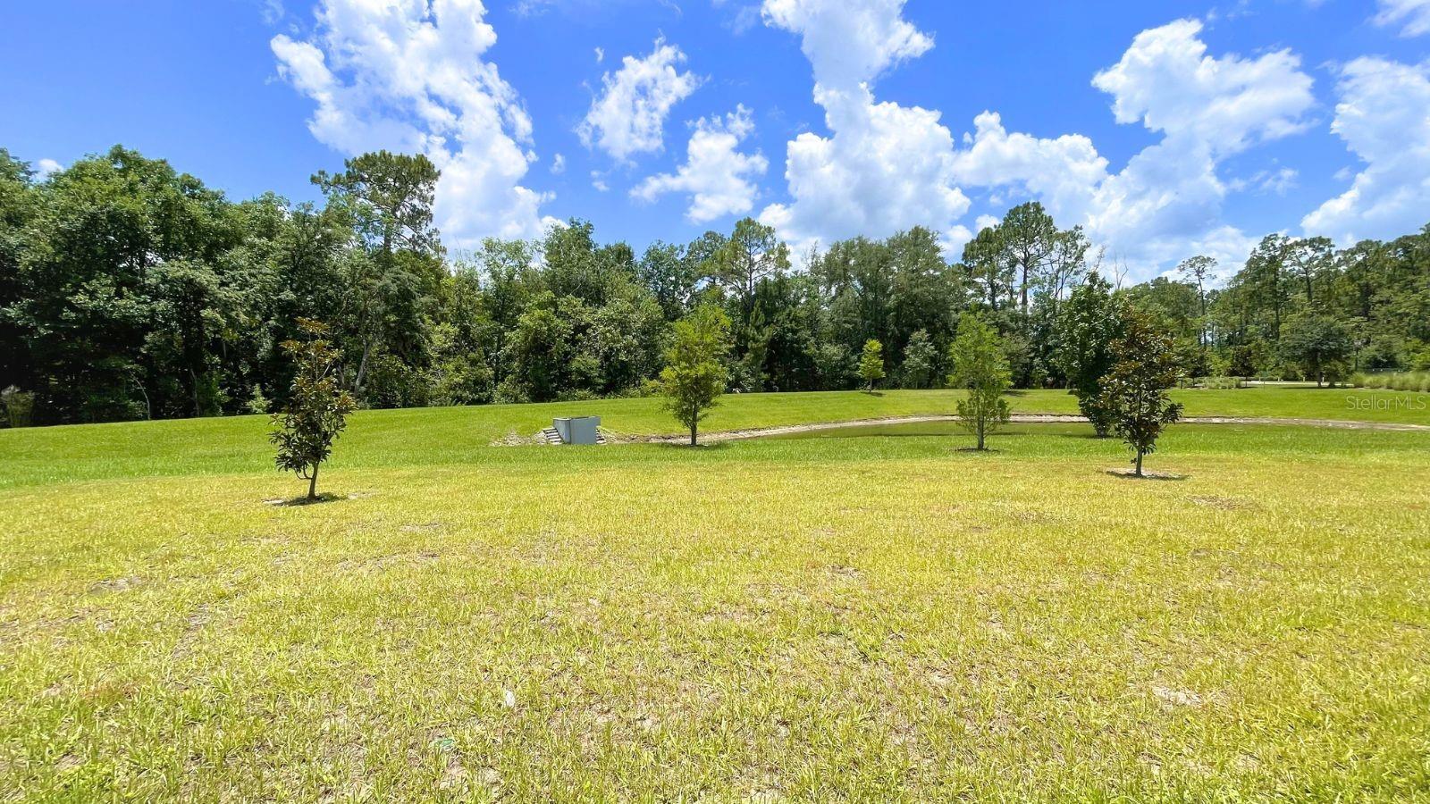 16308 Winding Preserve, Clermont, FL 34714