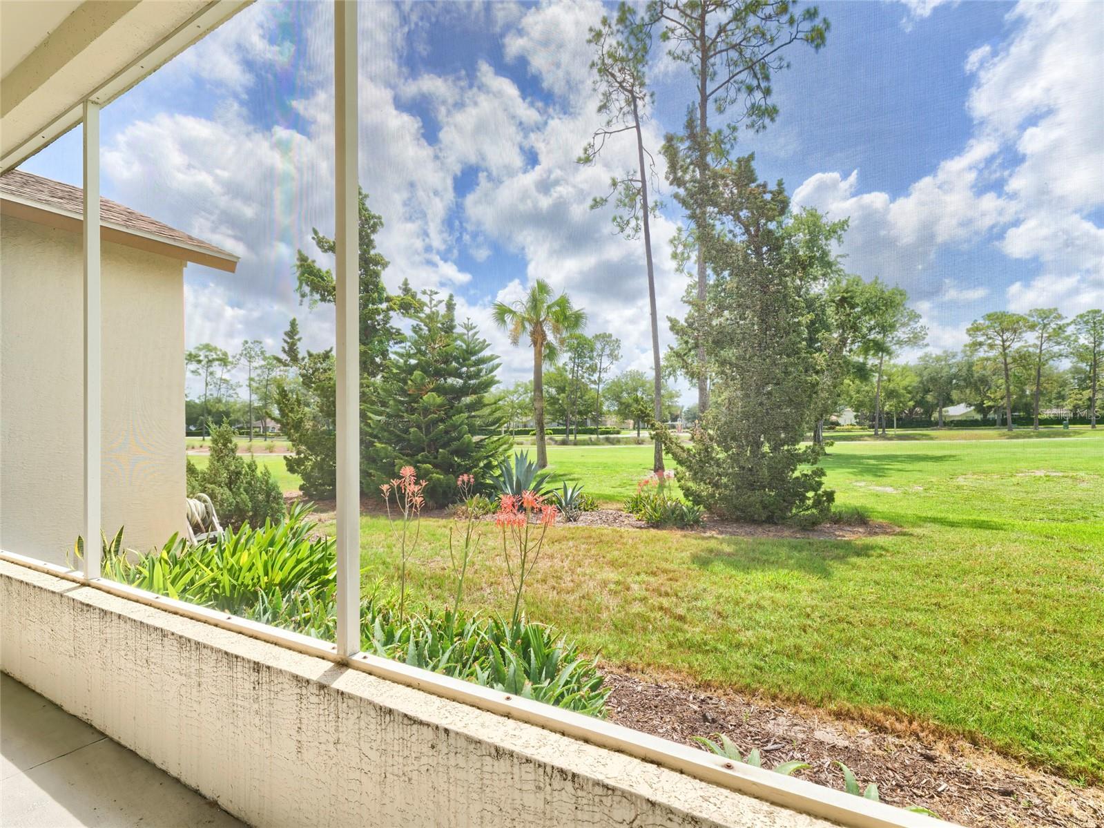 11228 Windrush, Hudson, FL 34667