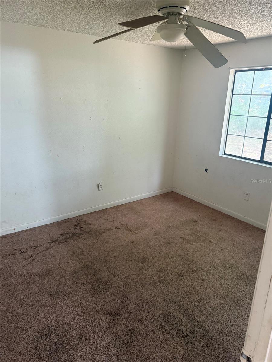 4600 136th, Summerfield, FL 34491