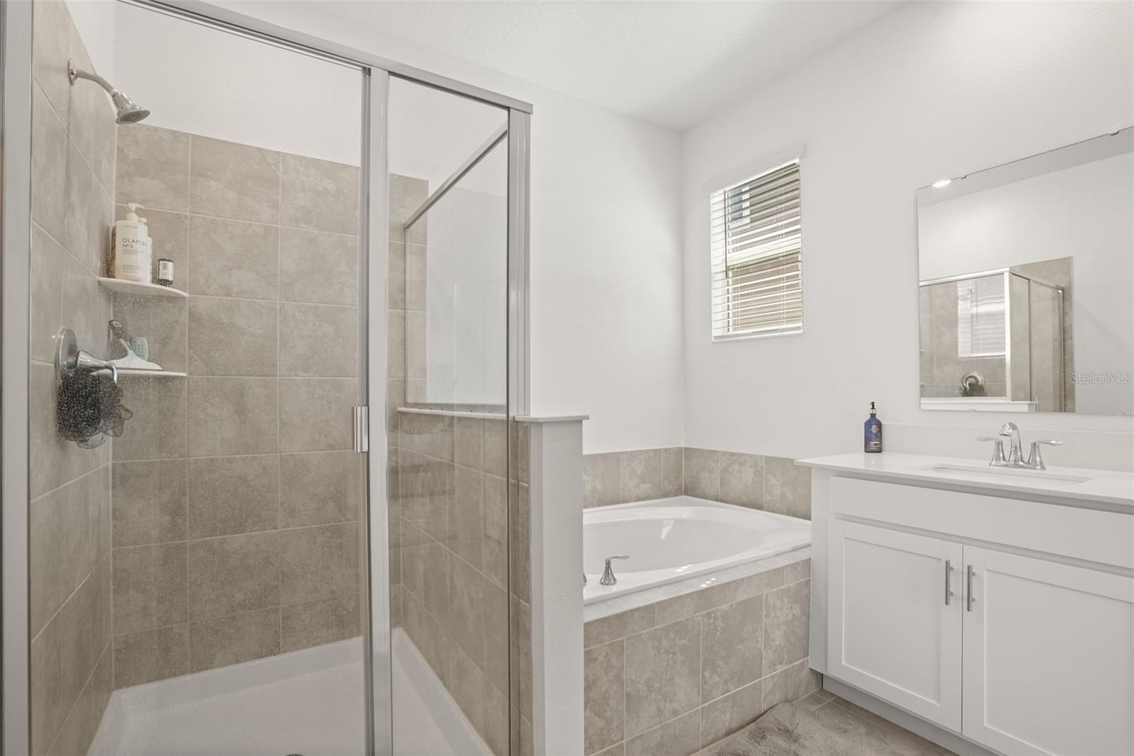5256 Dagenham, Davenport, FL 33837