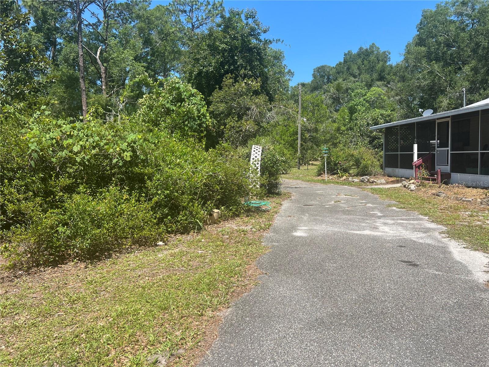 203 45, Cross City, FL 32628