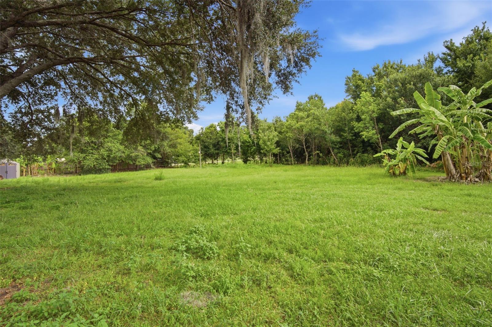 6611 Knights Griffin, Plant City, FL 33565