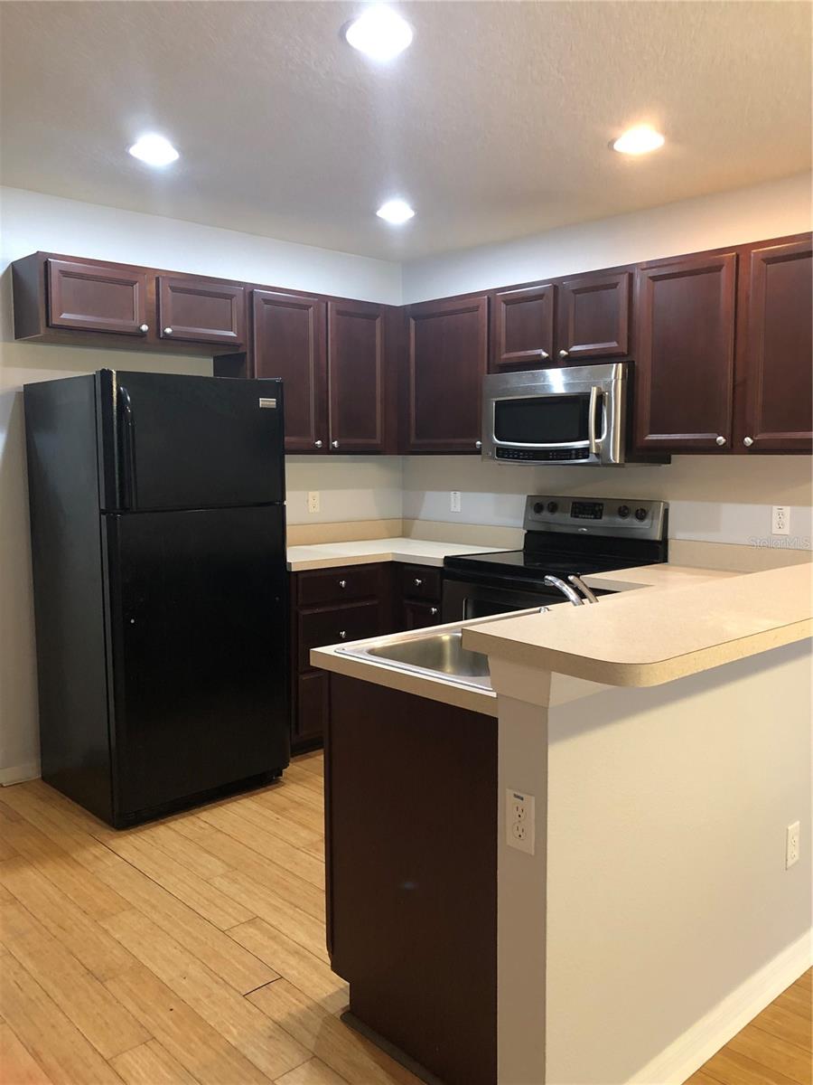 13442 Applerose Unit 66, Orlando, FL 32824