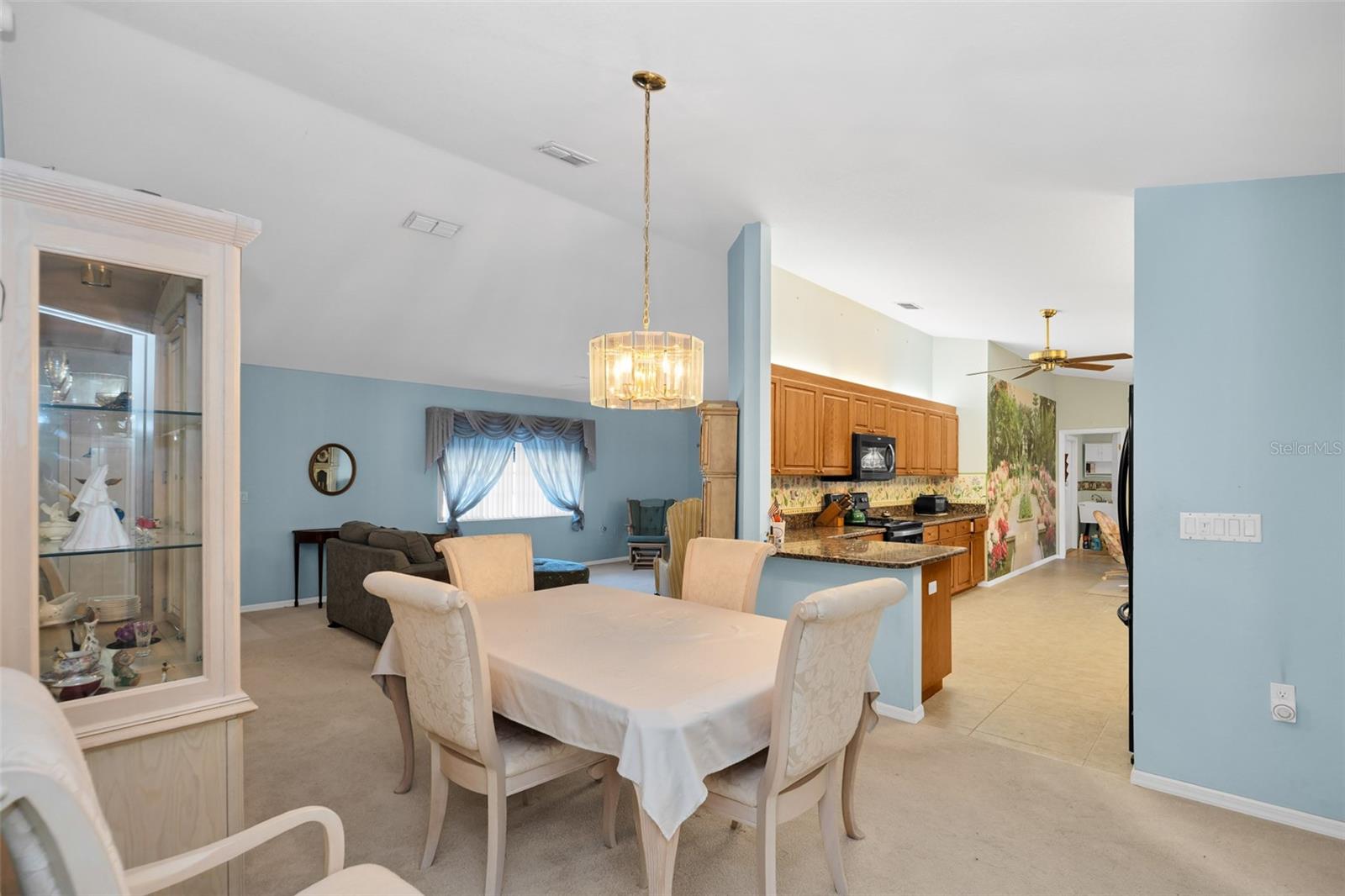 9921 138th, Summerfield, FL 34491