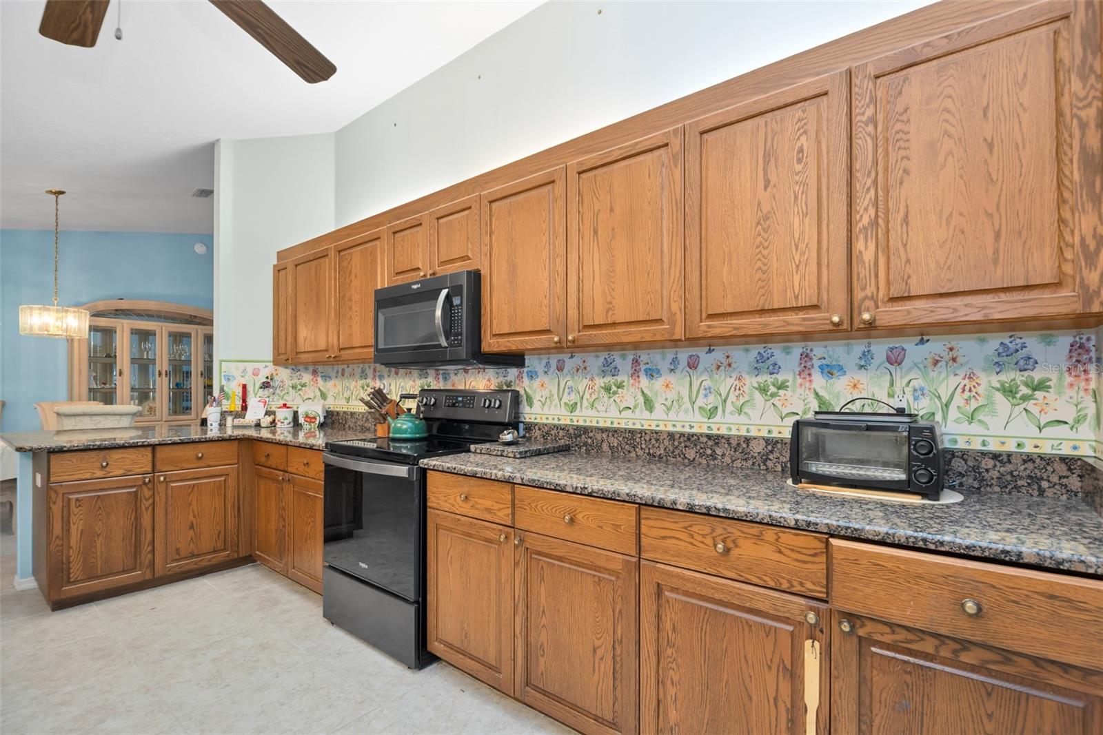 9921 138th, Summerfield, FL 34491