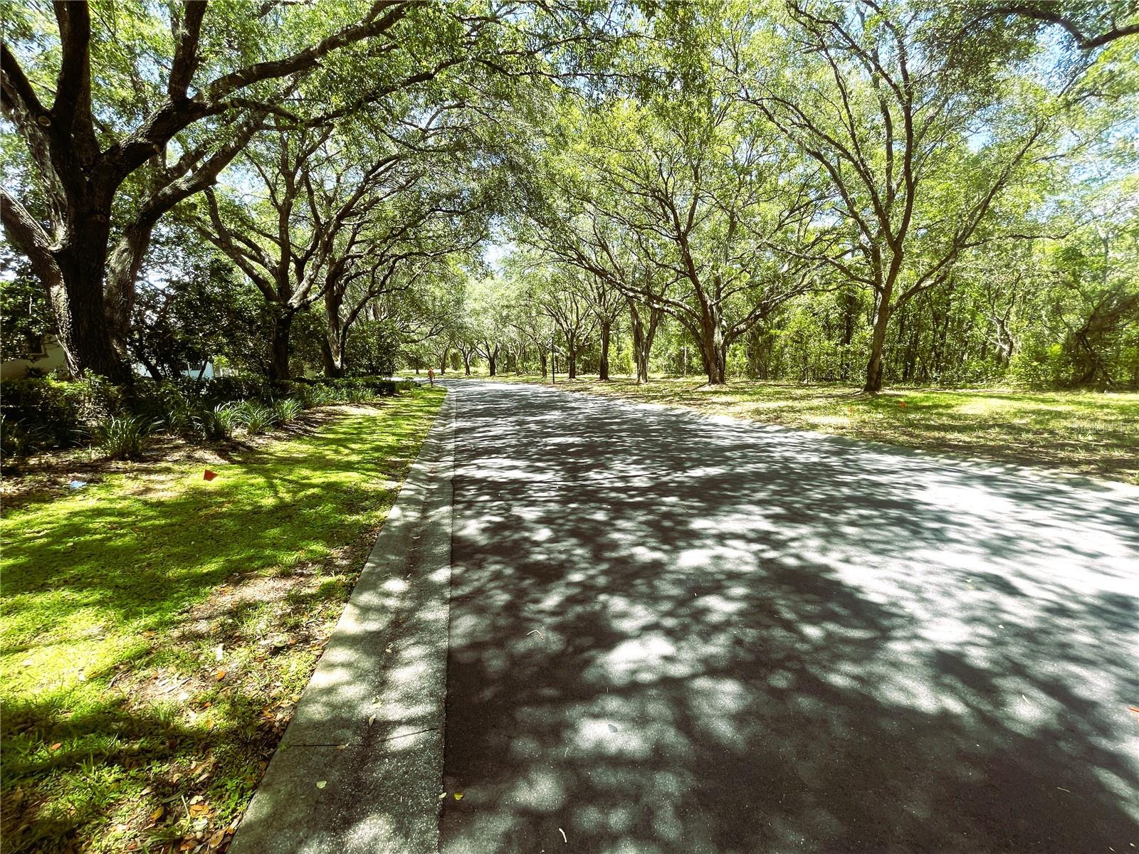 521 Hillwood, Beverly Hills, FL 34465