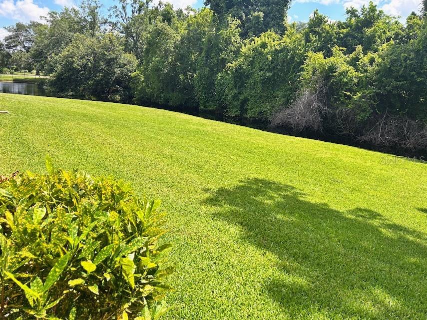 4916 Sunnybrook Unit 14, New Port Richey, FL 34653