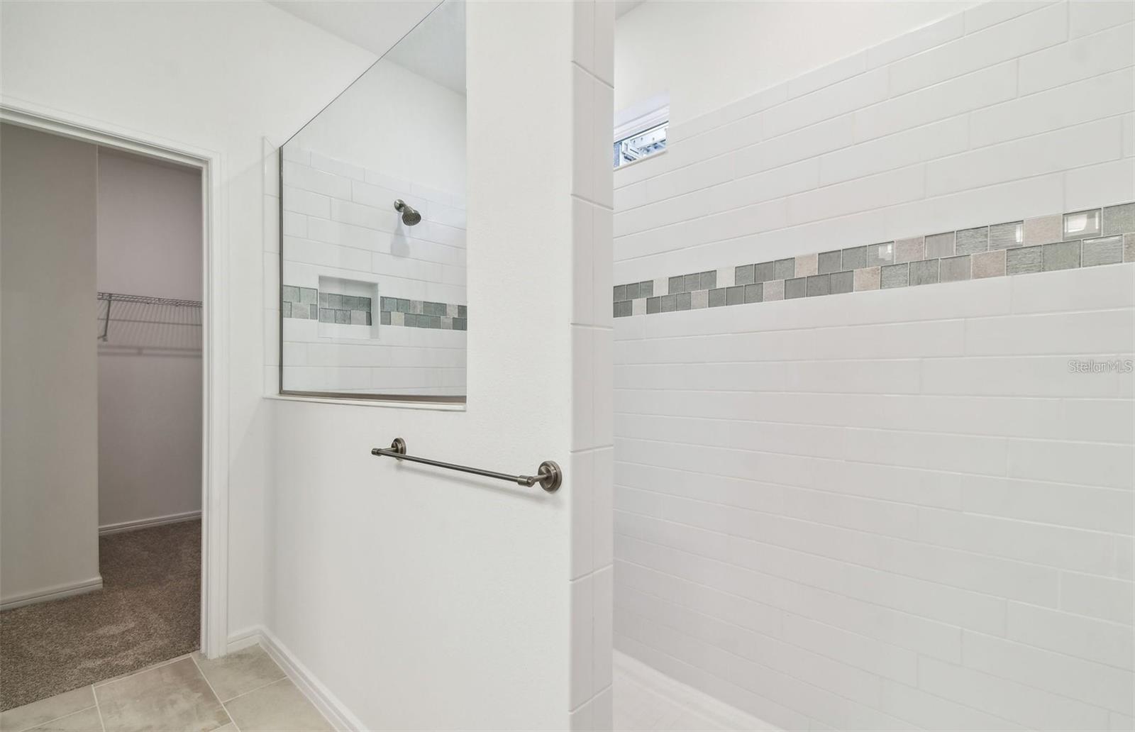 12071 Orchid Ash, Riverview, FL 33579