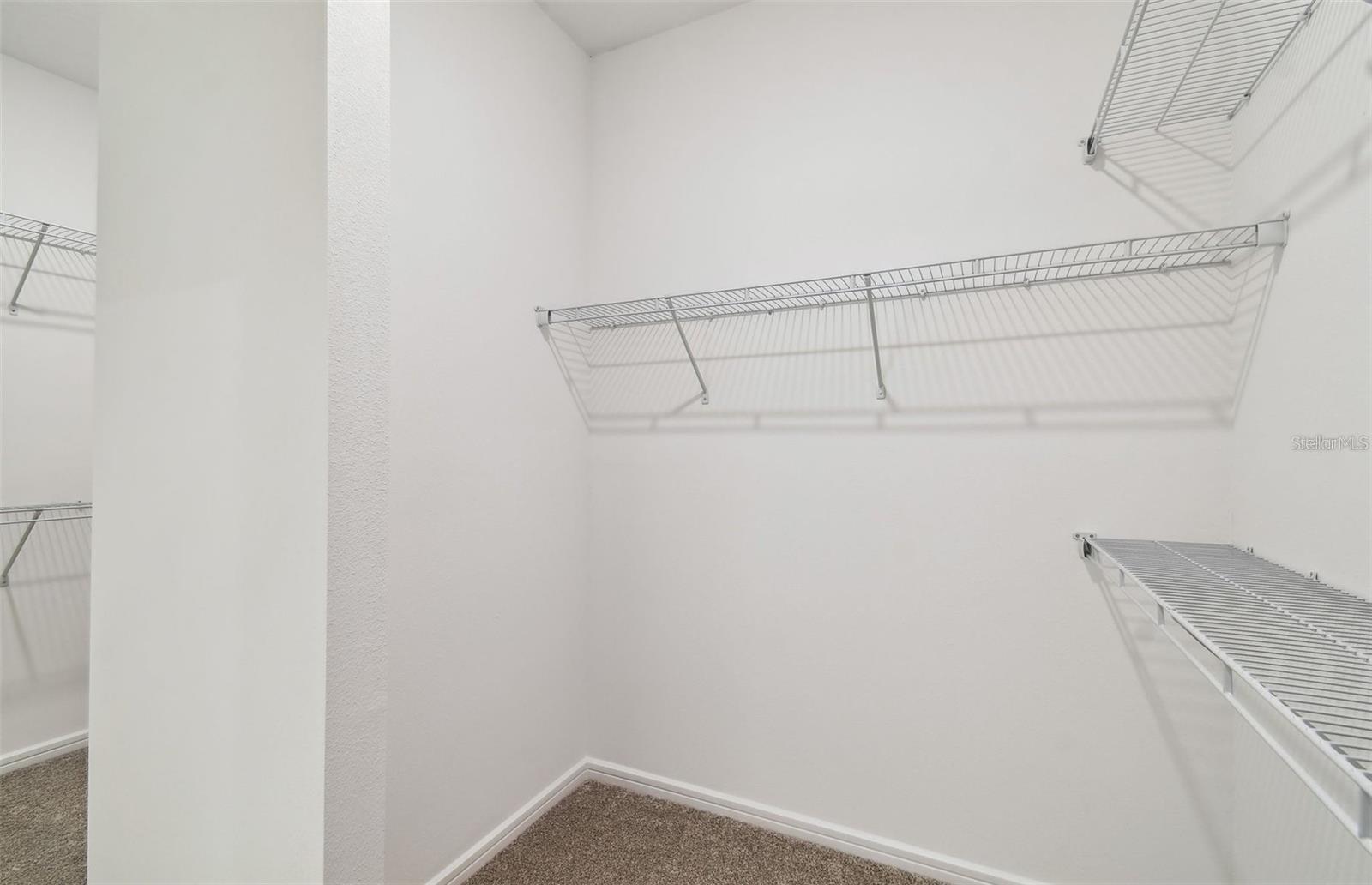 12071 Orchid Ash, Riverview, FL 33579